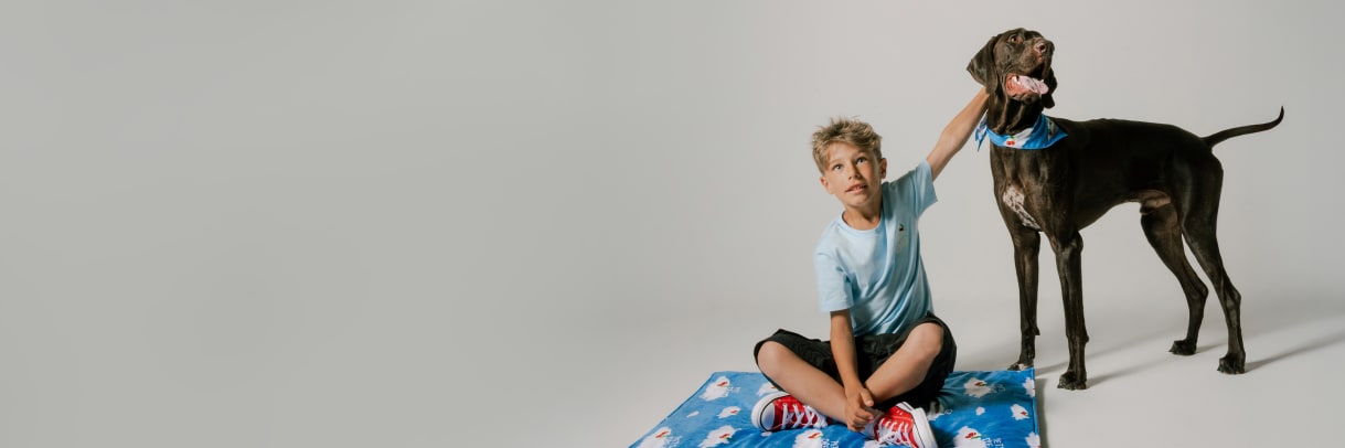 Pets Dream : la collection capsule signée United Pets et CoccoleBimbi