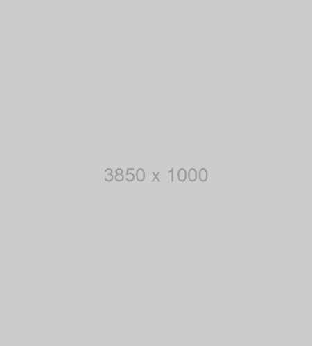 Alt text hero