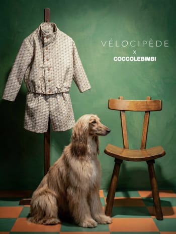 VÉLOCIPÈDE x CoccoleBimbi: Chevron de Nuage