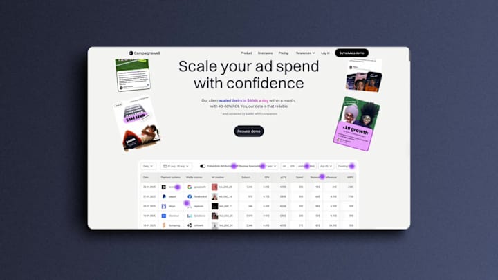 Cover image for Campaingswell Webflow Development