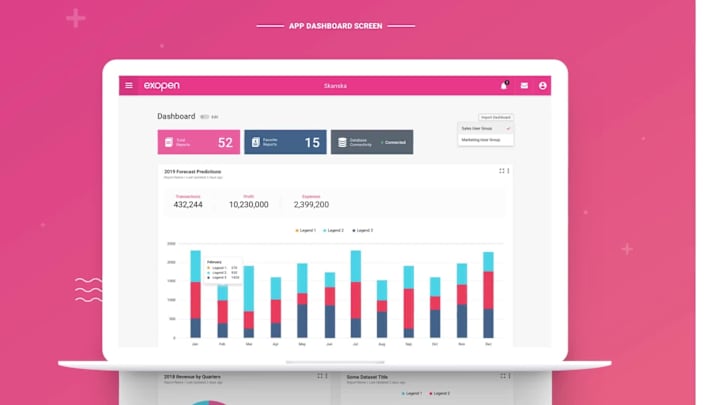 Cover image for Exopen - Enterprise Web Reporting Application