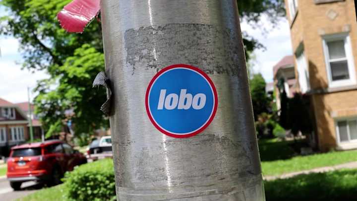 Cover image for Lobo Bold promo video