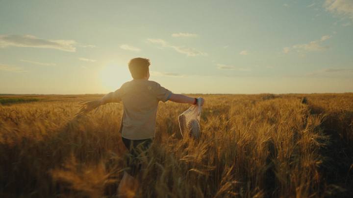 Cover image for Summer Fields