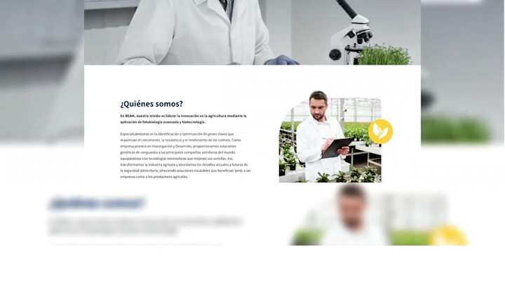 Cover image for Custom WordPress Website for AgTech Startup – BeamCropTech