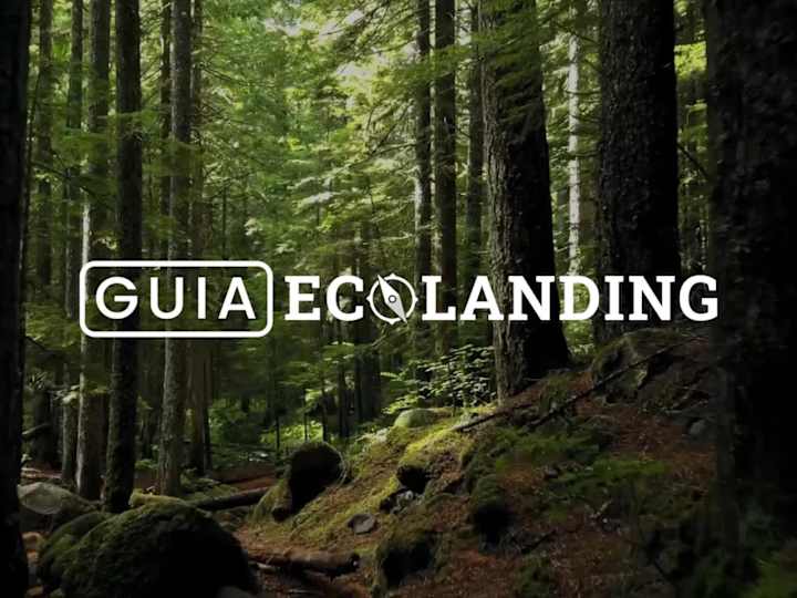Cover image for Eco-Friendly Travel Platform Development