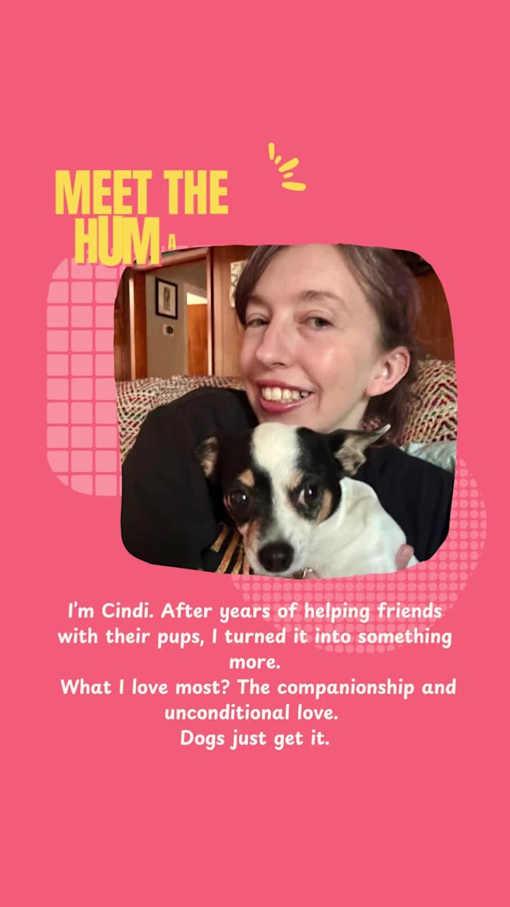 Cover image for Meet the Human Behind the Dog