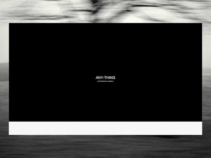 Cover image for Anything: Fashion Photography