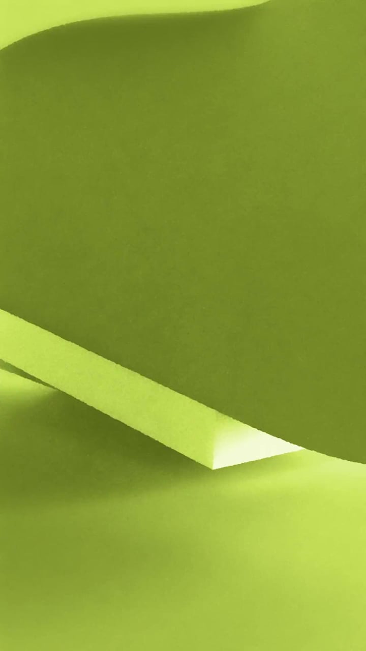 Cover image for Dacia x Inês Lopes Gonçalves
