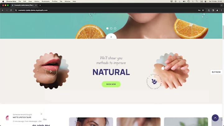 Cover image for Stella: Shopify Beauty Store