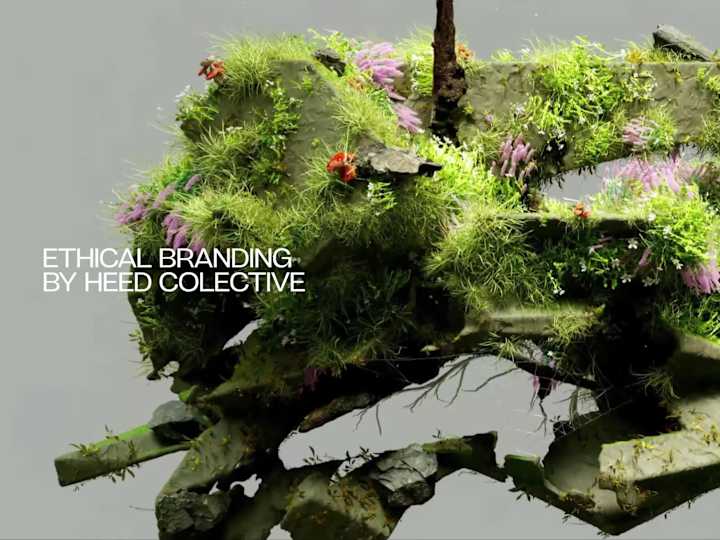 Cover image for Website Design & Development · Heed Collective 