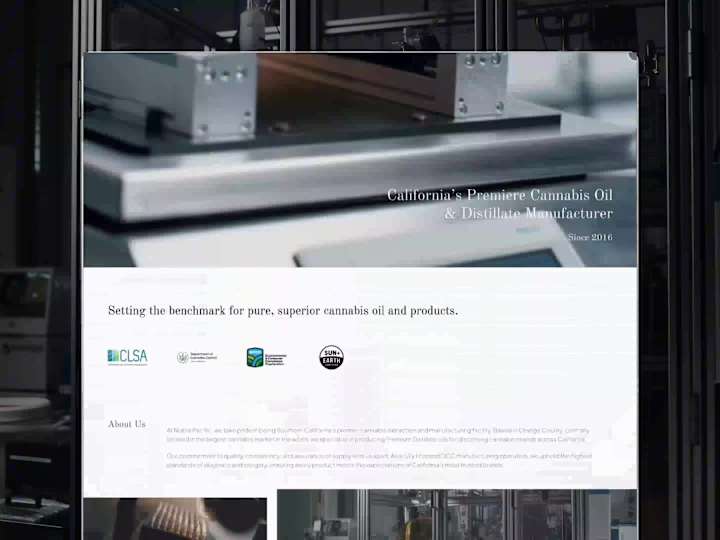 Cover image for Business website with Framer
