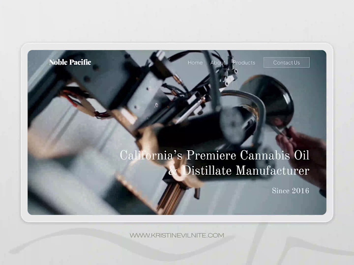 Cover image for Business website with Framer