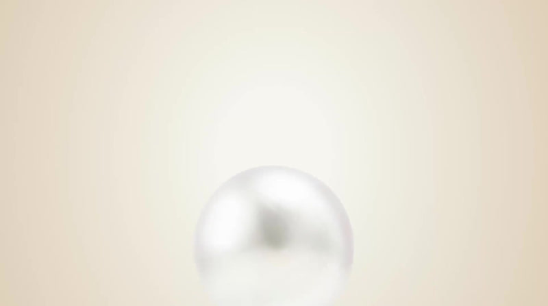 Cover image for The Pearl™ 