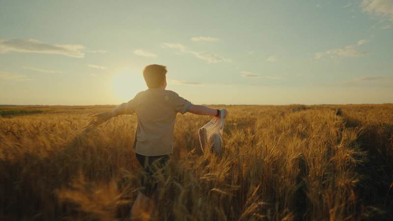Cover image for Summer Fields