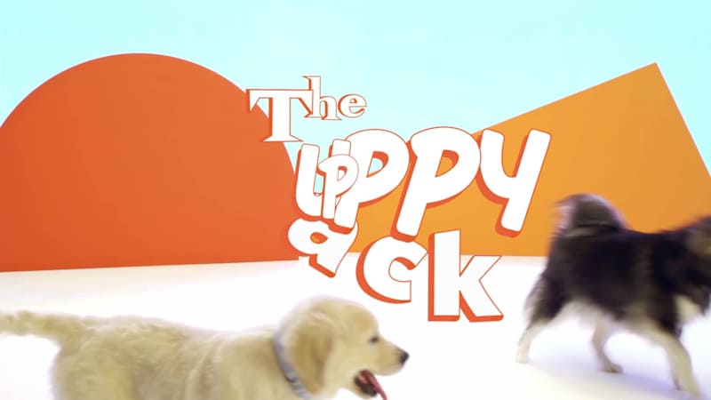 Cover image for Banfield Puppy Pack