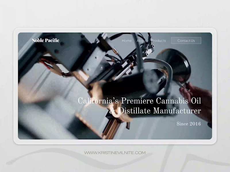 Cover image for Business website with Framer