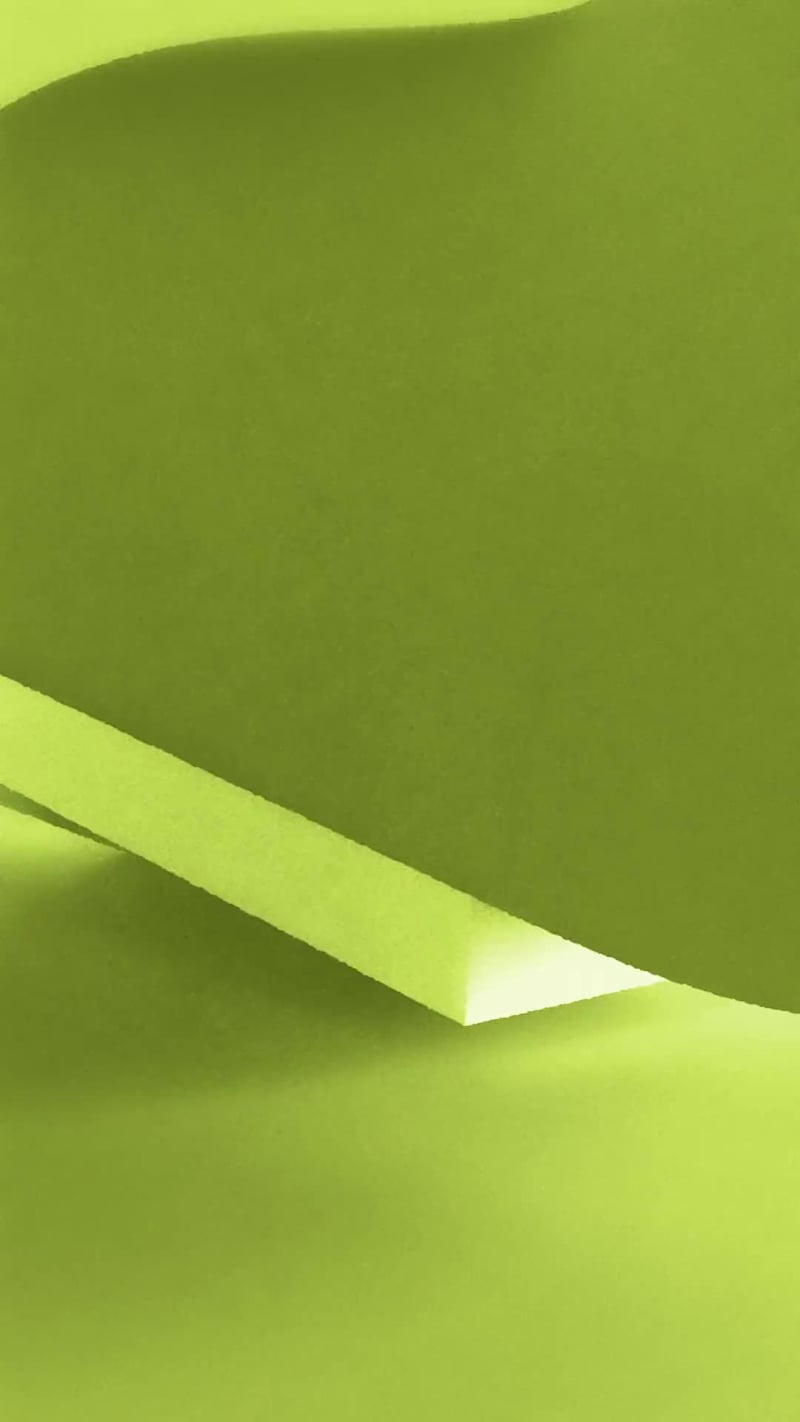 Cover image for Dacia x Inês Lopes Gonçalves
