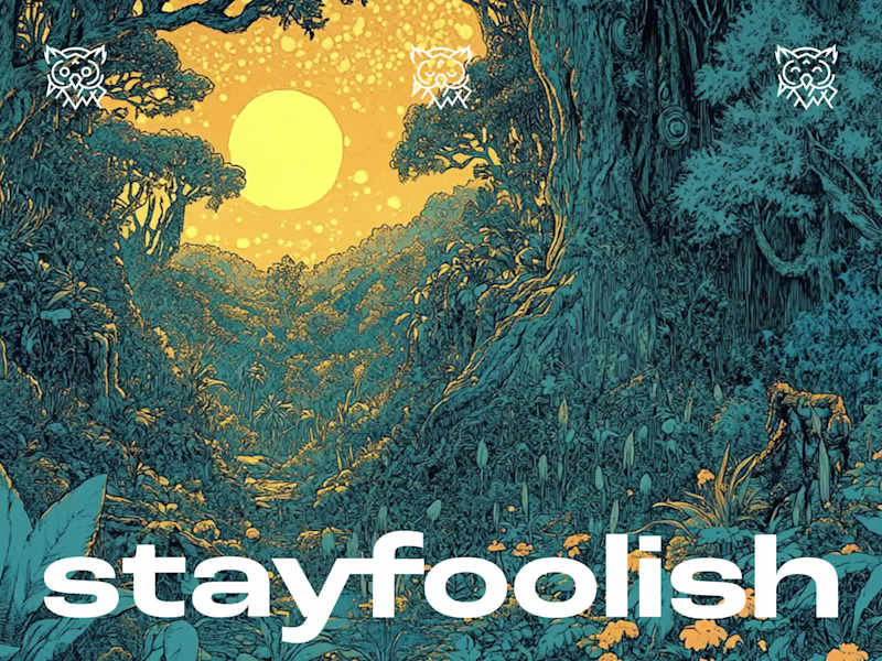 Cover image for STAYFOOLISH ___ BRANDING 