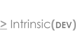 Intrinsic Dev company logo