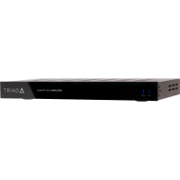 Triad SubAmp 300