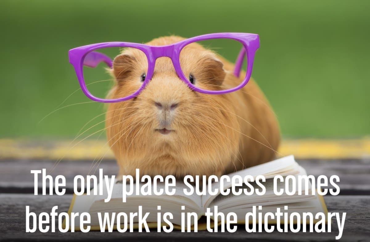 A motivational quote: “The only place success comes before work is in the dictionary.”