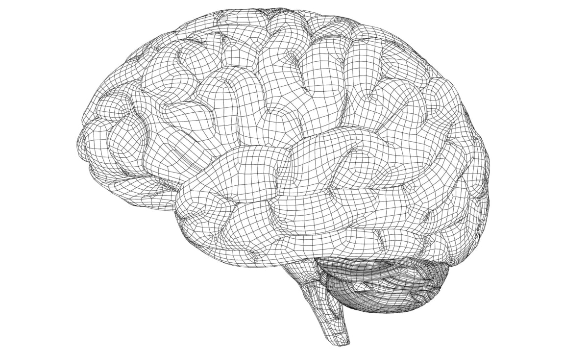 A polygonal wireframe of a brain