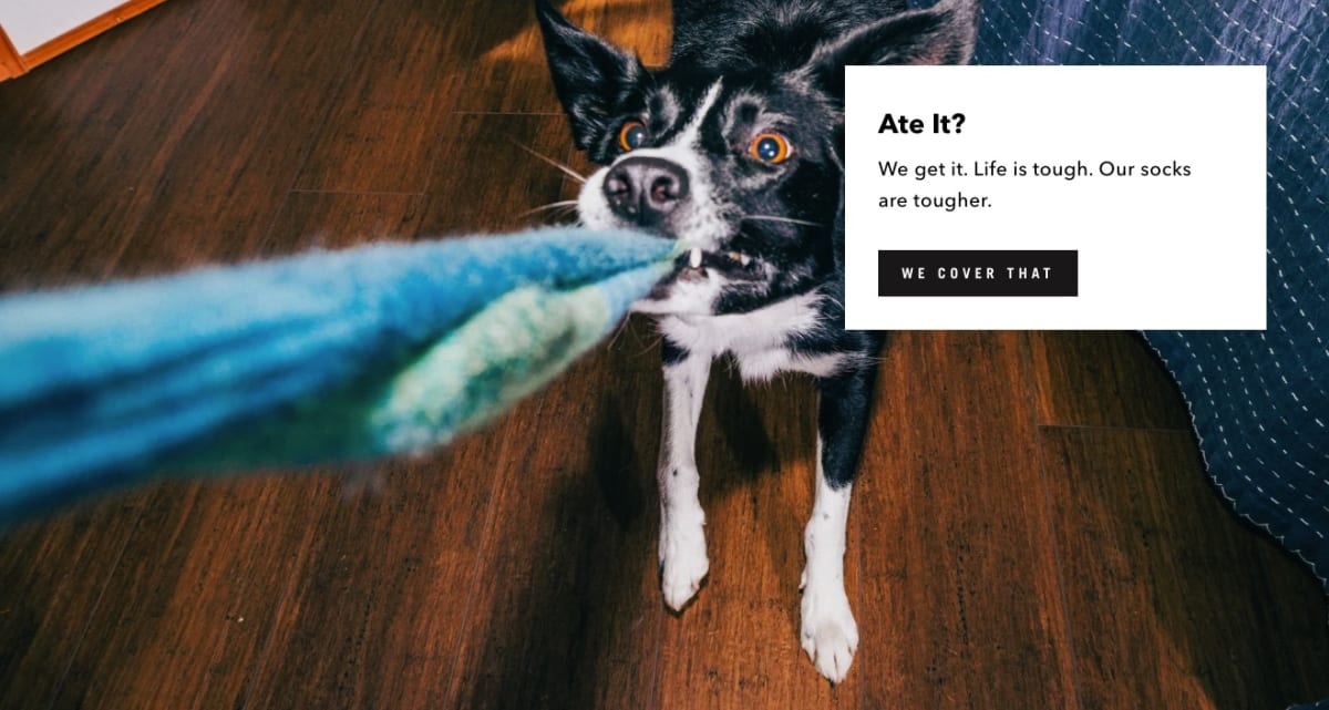 A dog tugging on a sock in a Darn Tough ad with the caption ‘Ate it? We cover that,’ illustrating their durability guarantee.
