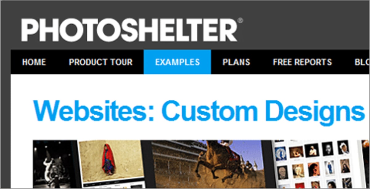 PhotoShelter Examples