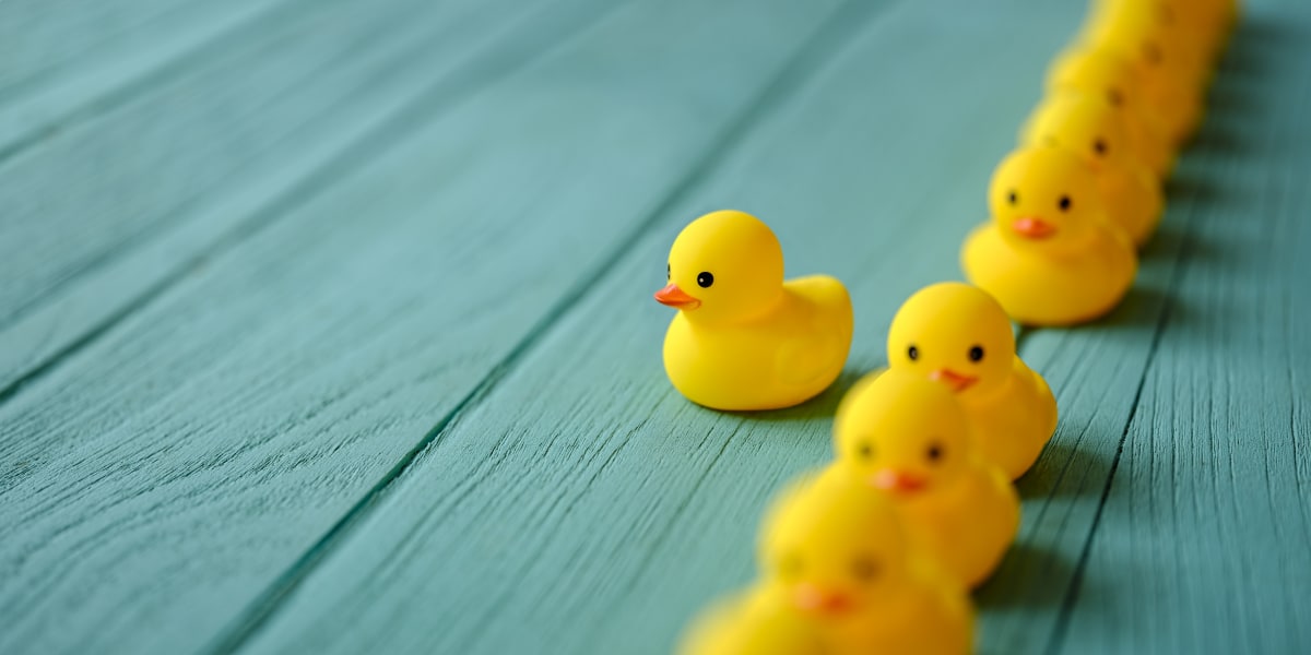 A photo of yellow rubber ducks in a row