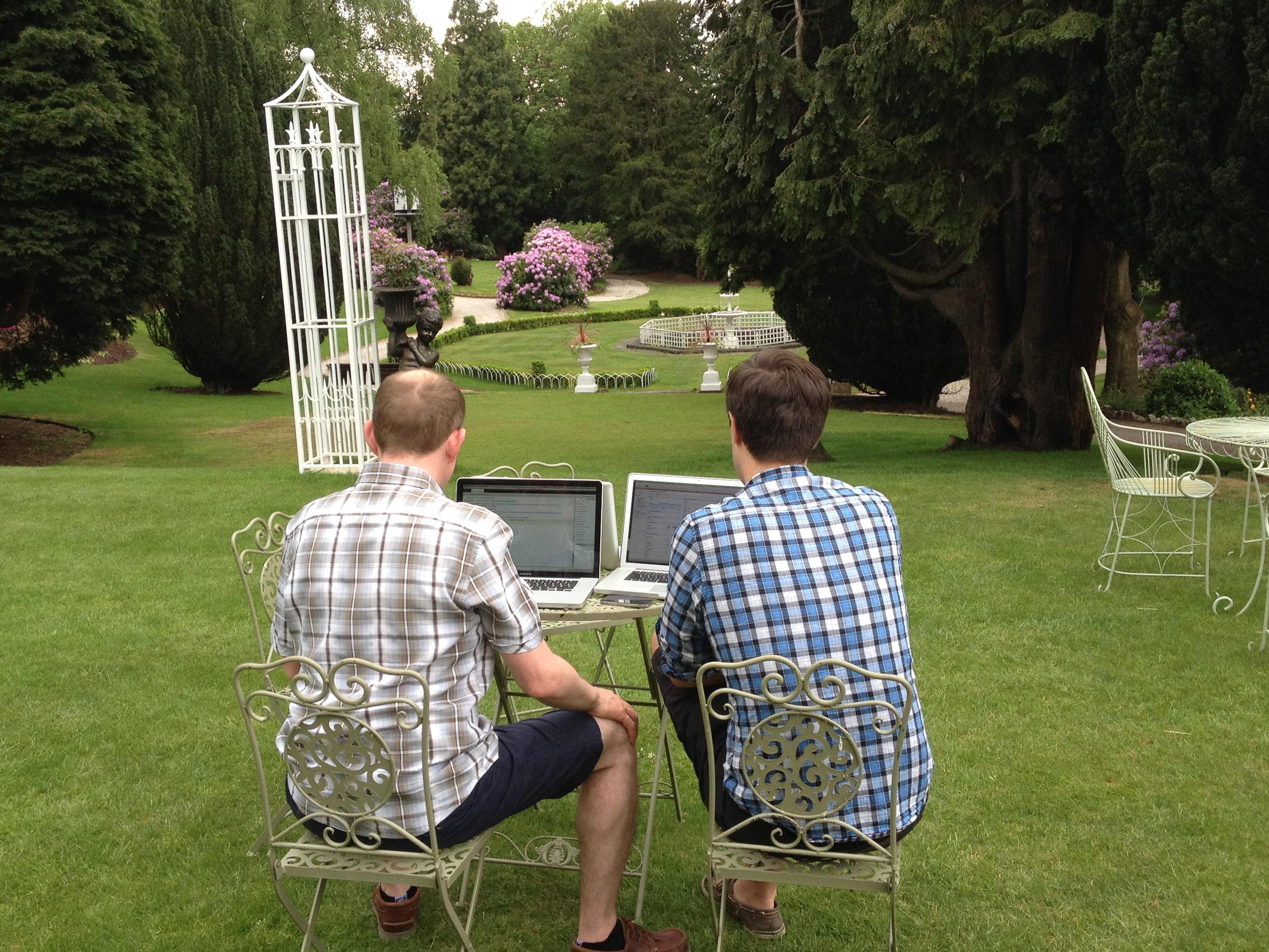 The garden