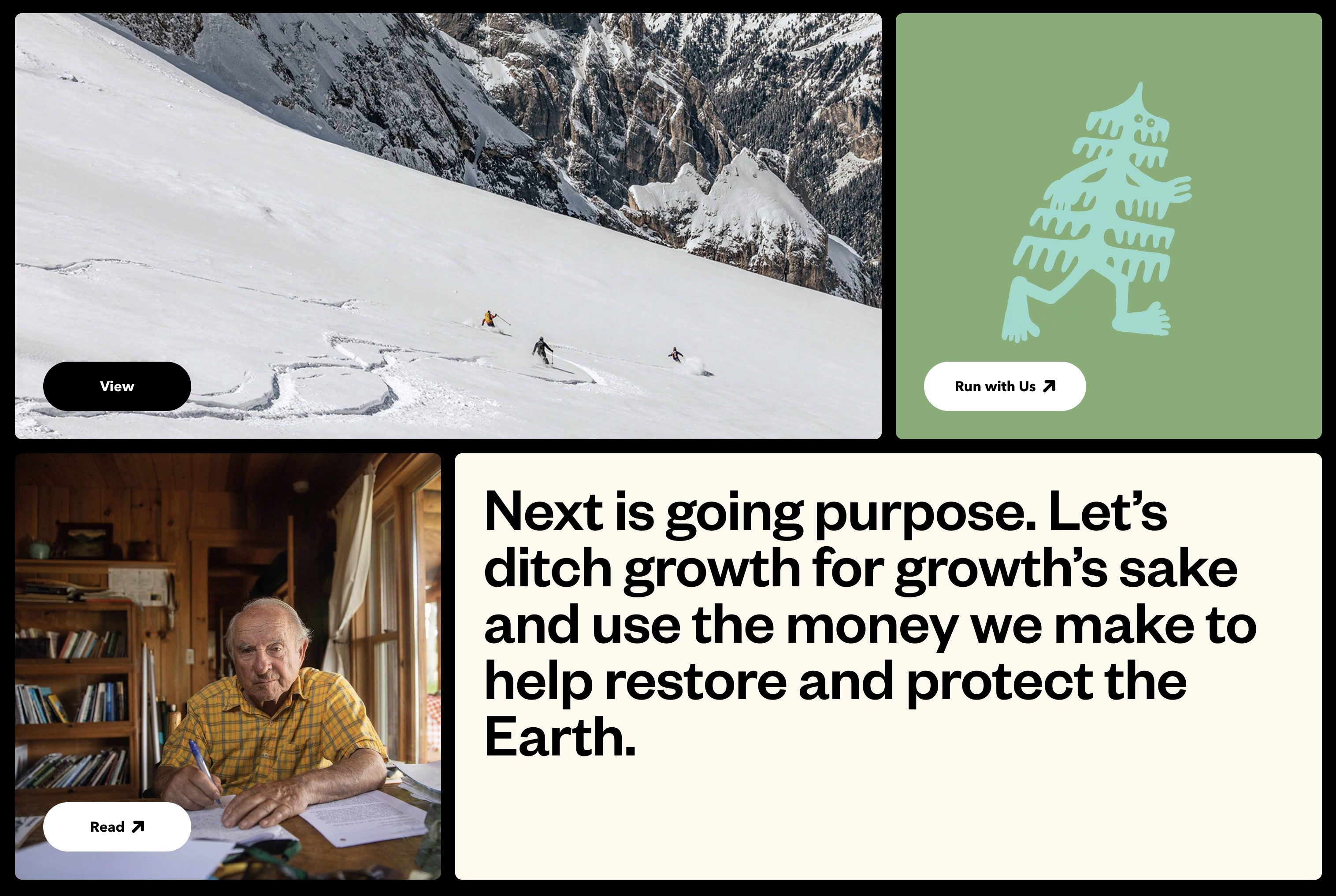 A screenshot of the Patagonia website.