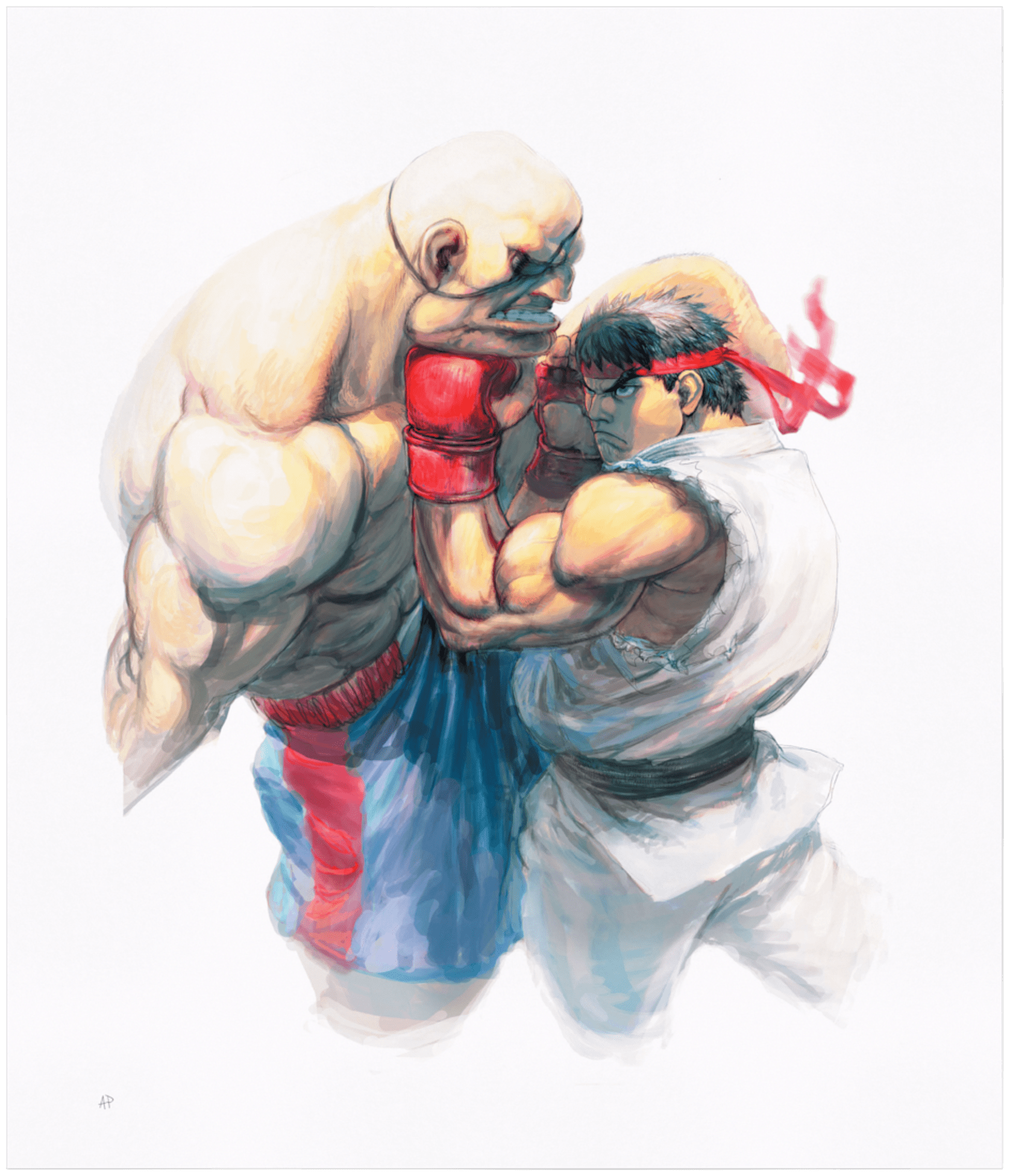 Street Fighter Alpha 2 ryu Vs. Sagat 3D Shadow Box for 