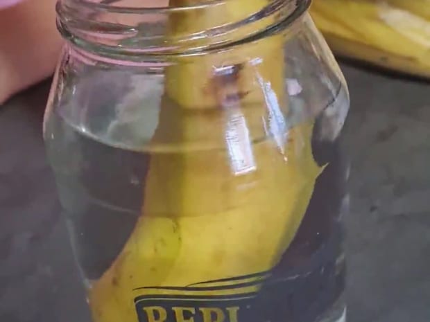 Dip Banana in Boiling water, them Peel. This will prevent the Banana from turning brown.
