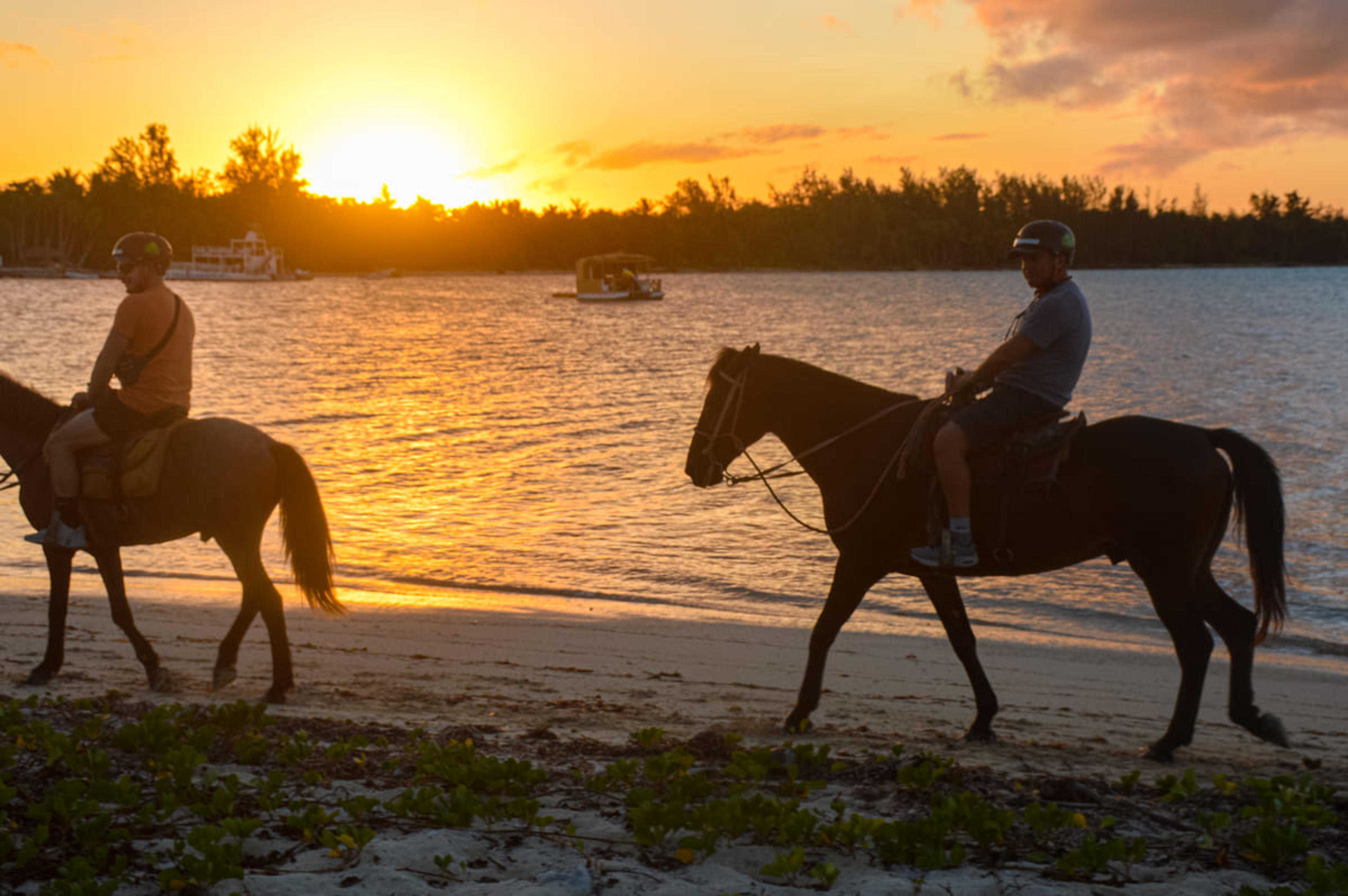 Hermoso Atardecer Cabalgata en la Playa 2 Horas en Punta Cana — 1