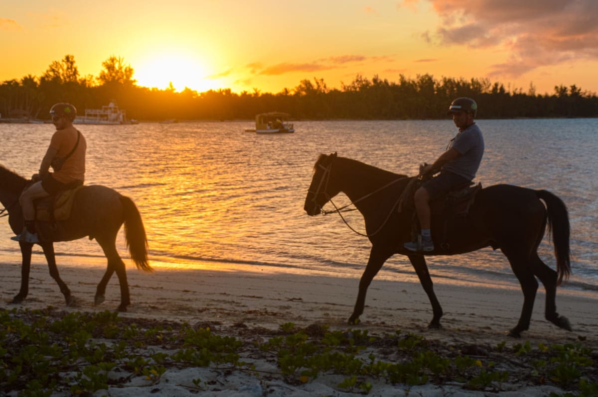 Sunset Horseback Riding at the Beach in Punta Cana — foto 1