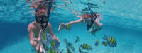 Private Family Catamaran: Snorkeling & Coastal Cruise — foto 3