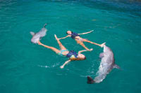 Swim with Dolphin Explorer Adventure in Punta Cana — foto 6