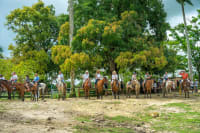 Safari Supremo: Cultura y Recorrido por Higüey — foto 10