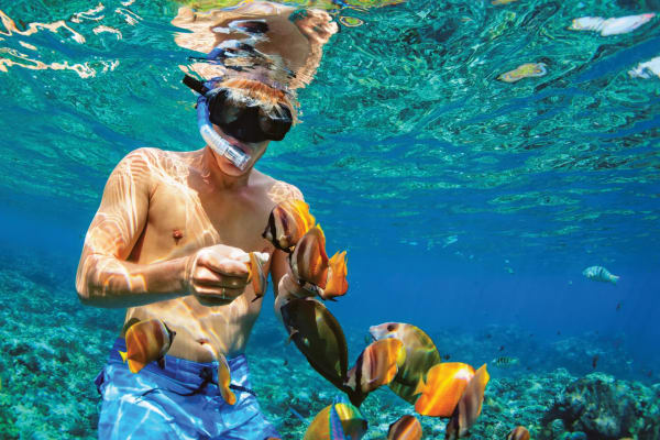 Aventura de snorkel en la isla Catalina y Altos de Chavón — foto 3