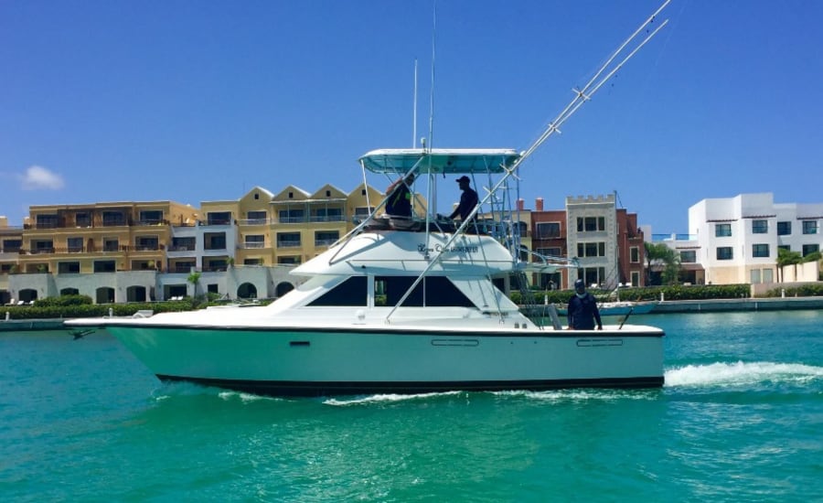 Marlin Fever: Charter Privado de Pesca de Altura — foto 1