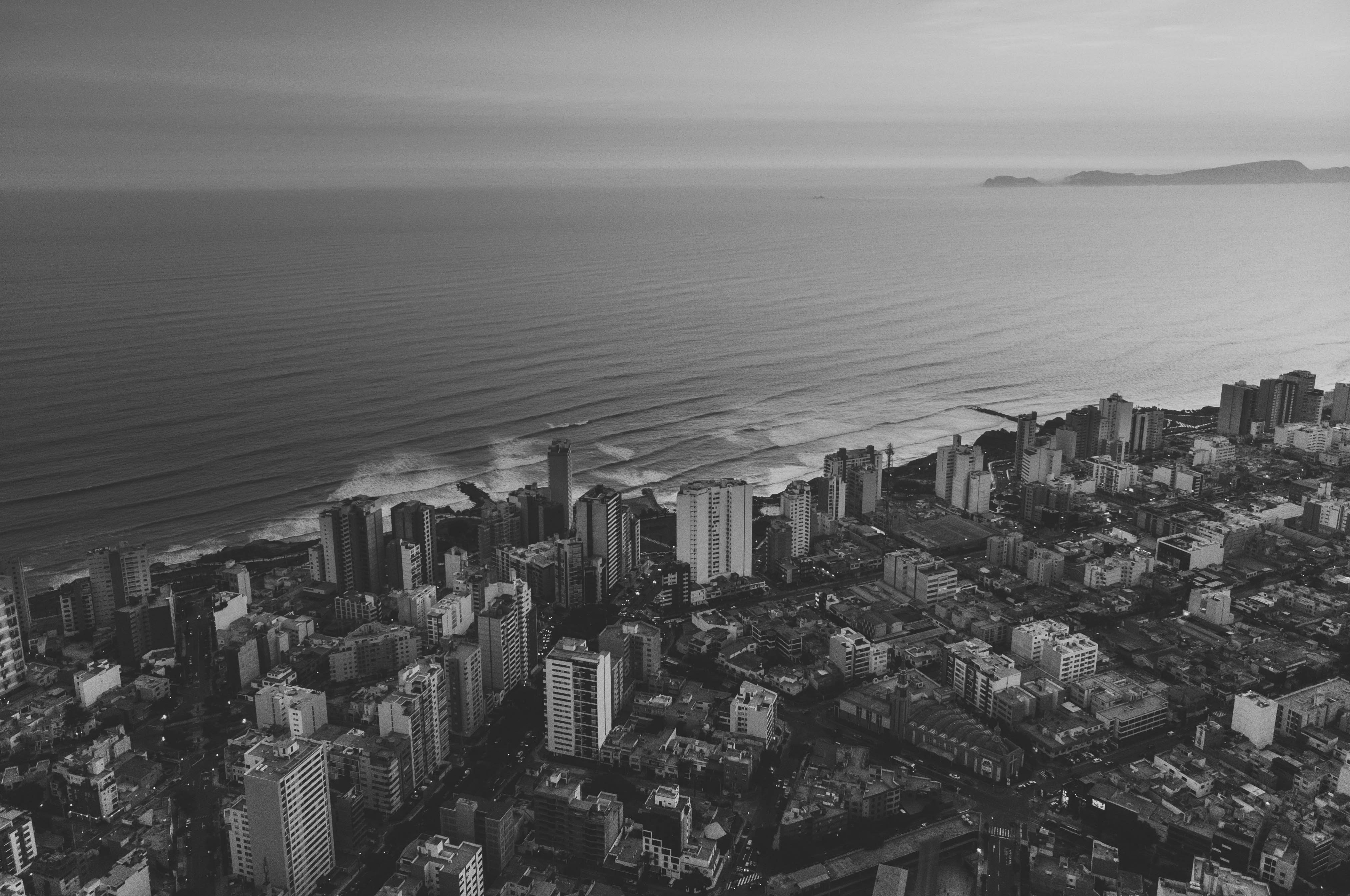 profile banner photo