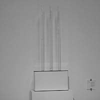 A photo of Canute by Jonathan Redwood