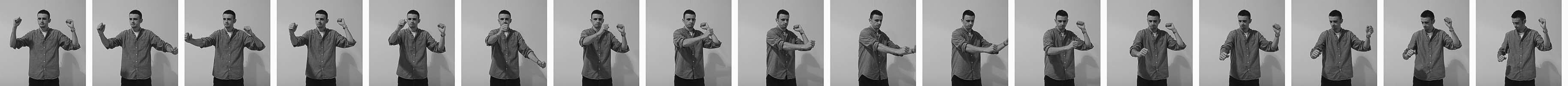 An animated image of Phil Rose imitating their project Vulpt