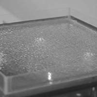 A photo of Quake by Dan Morris