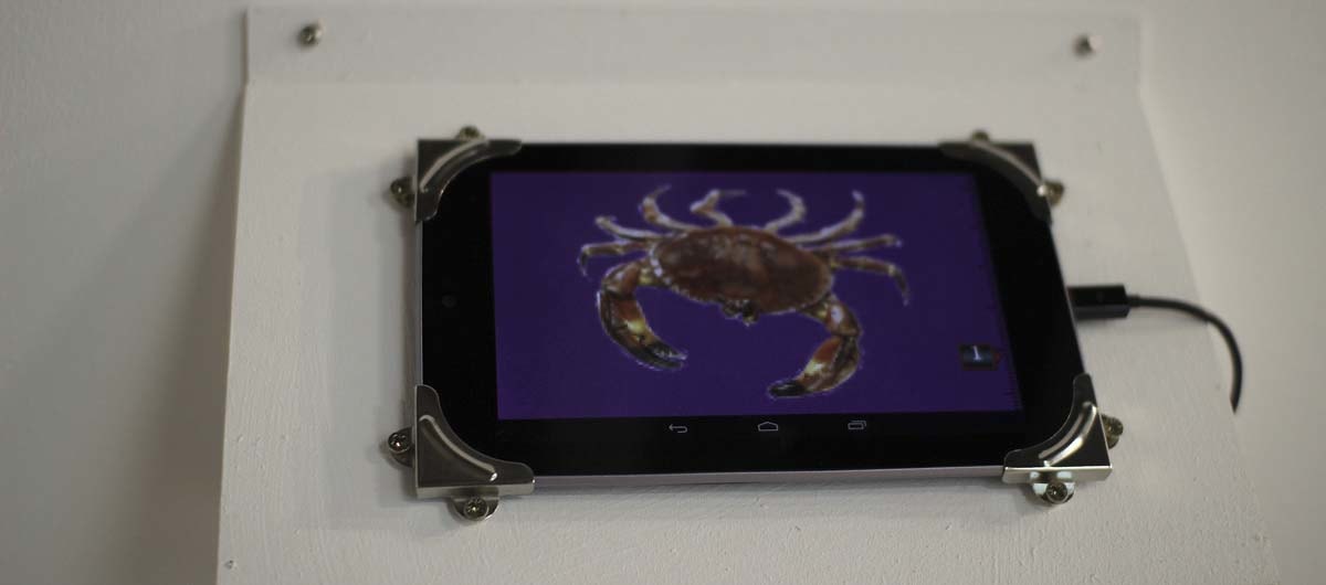 Featured image of Squish the Crab