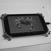 A photo of Squish the Crab by James King