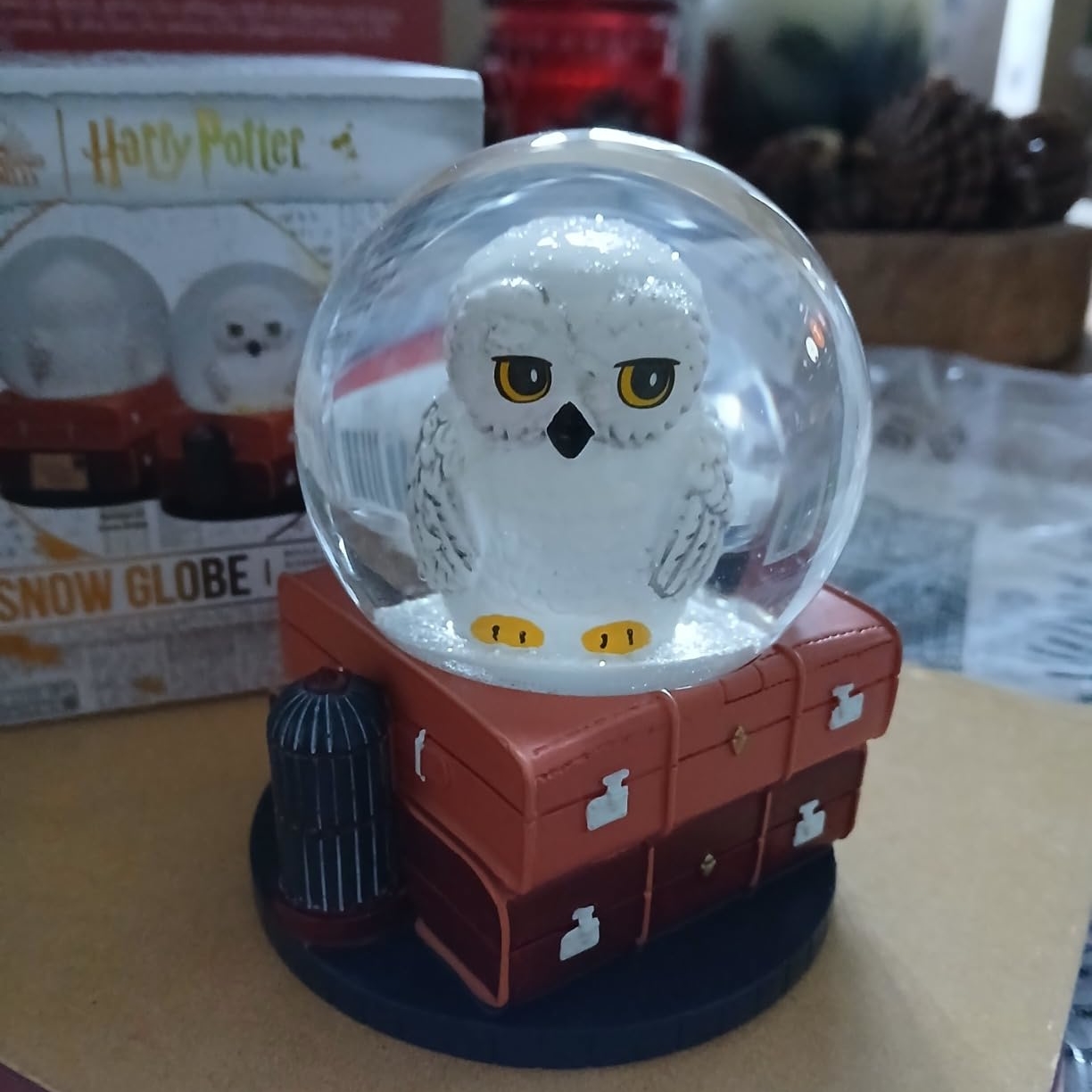 Harry Potter Hedwig Snow Globe Photo by Anonymous AnonymousImage