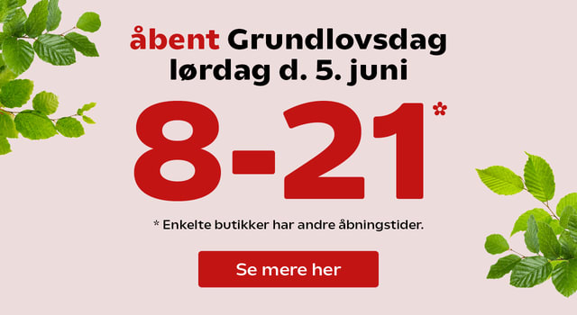 grundlovsdag