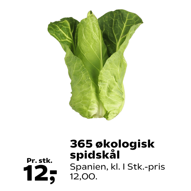 365 økologisk spidskål