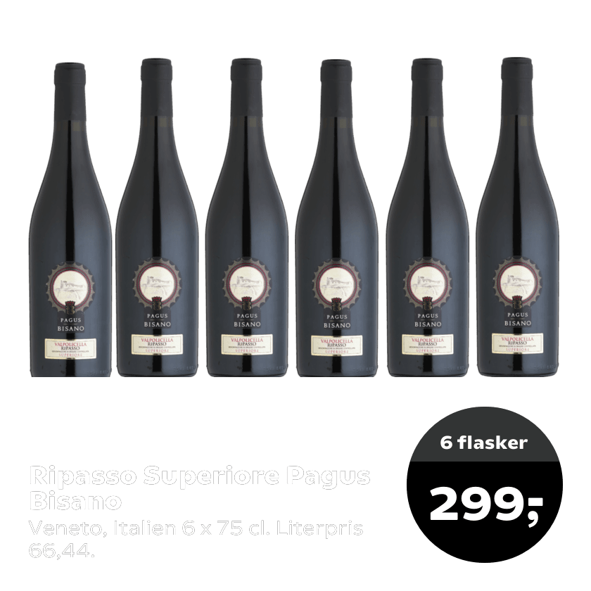 Ripasso Superiore Pagus Bisano